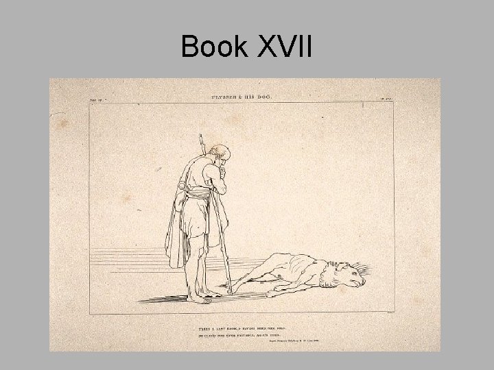 Book XVII 