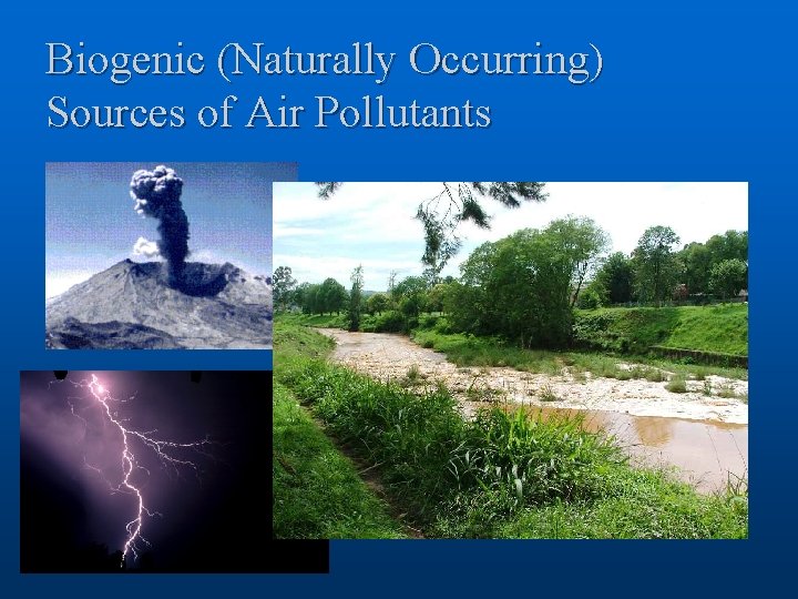Biogenic (Naturally Occurring) Sources of Air Pollutants 