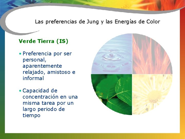 Las preferencias de Jung y las Energías de Color Verde Tierra (IS) • Preferencia