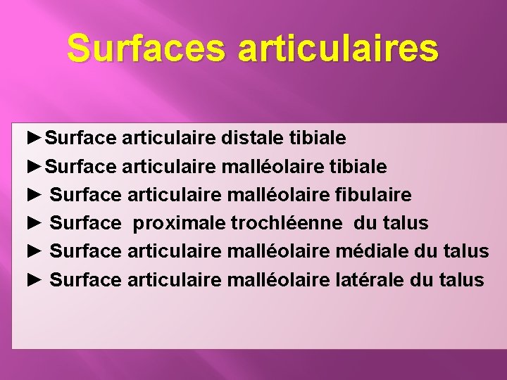 Surfaces articulaires ►Surface articulaire distale tibiale ►Surface articulaire malléolaire tibiale ► Surface articulaire malléolaire