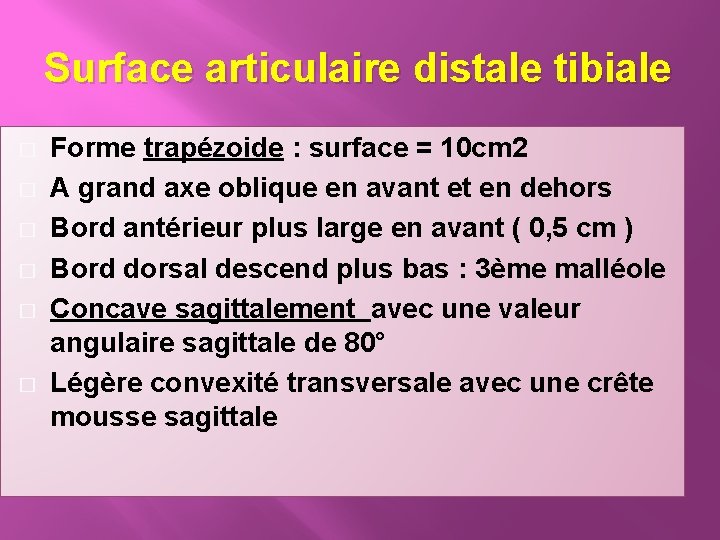 Surface articulaire distale tibiale � � � Forme trapézoide : surface = 10 cm