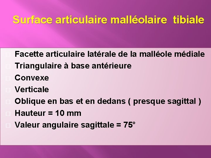 Surface articulaire malléolaire tibiale � � � � Facette articulaire latérale de la malléole