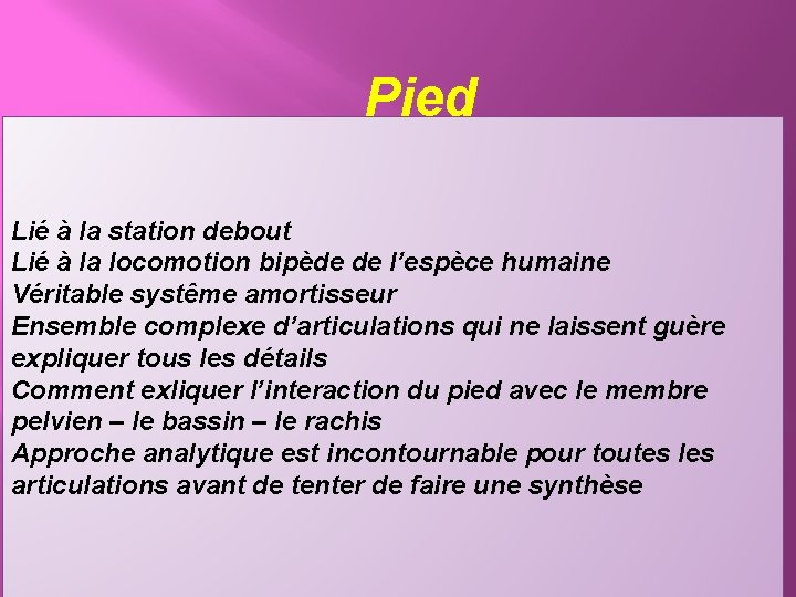 Pied Lié à la station debout Lié à la locomotion bipède de l’espèce humaine