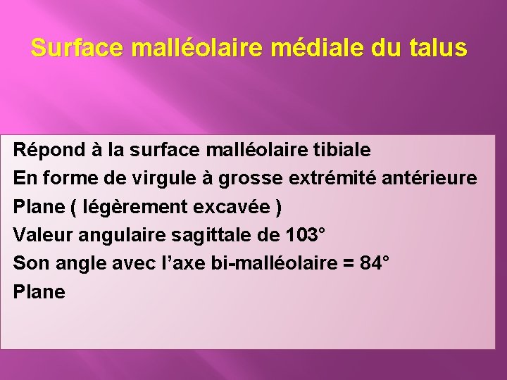 Surface malléolaire médiale du talus Répond à la surface malléolaire tibiale En forme de