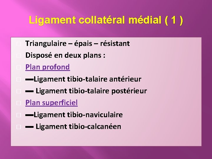 Ligament collatéral médial ( 1 ) � � � � Triangulaire – épais –