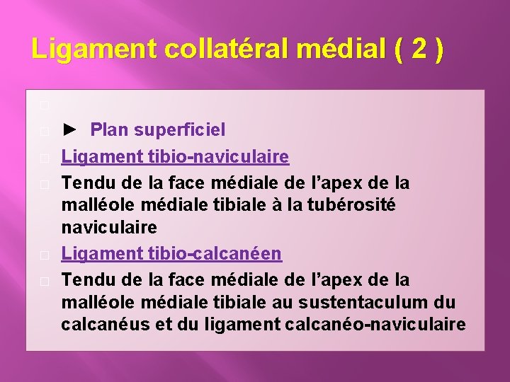 Ligament collatéral médial ( 2 ) � � � ► Plan superficiel Ligament tibio-naviculaire
