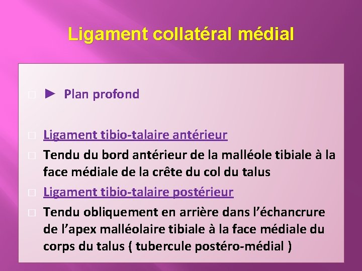 Ligament collatéral médial � � � ► Plan profond Ligament tibio-talaire antérieur Tendu du