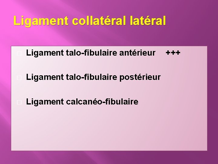 Ligament collatéral � Ligament talo-fibulaire antérieur � Ligament talo-fibulaire postérieur � Ligament calcanéo-fibulaire +++