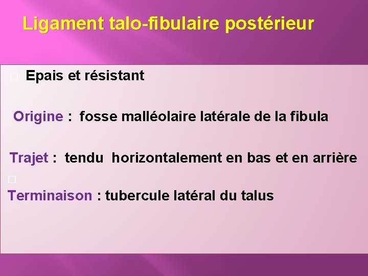 Ligament talo-fibulaire postérieur � Epais et résistant Origine : fosse malléolaire latérale de la