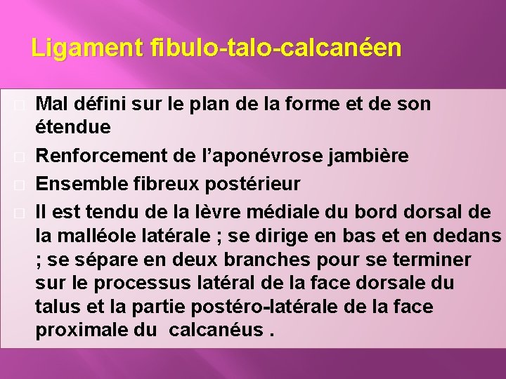 Ligament fibulo-talo-calcanéen � � Mal défini sur le plan de la forme et de