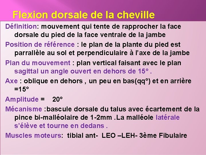 Flexion dorsale de la cheville Définition: mouvement qui tente de rapprocher la face dorsale