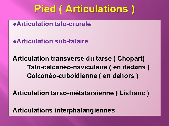 Pied ( Articulations ) ●Articulation talo-crurale ●Articulation sub-talaire Articulation transverse du tarse ( Chopart)
