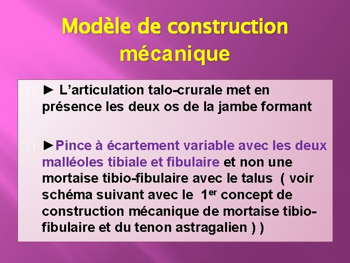 Modèle de construction mécanique � ► L’articulation talo-crurale met en présence les deux os