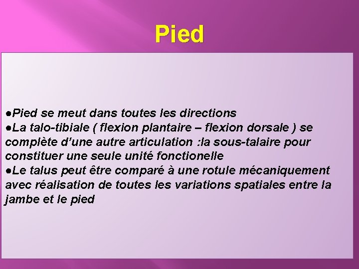 Pied ●Pied se meut dans toutes les directions ●La talo-tibiale ( flexion plantaire –