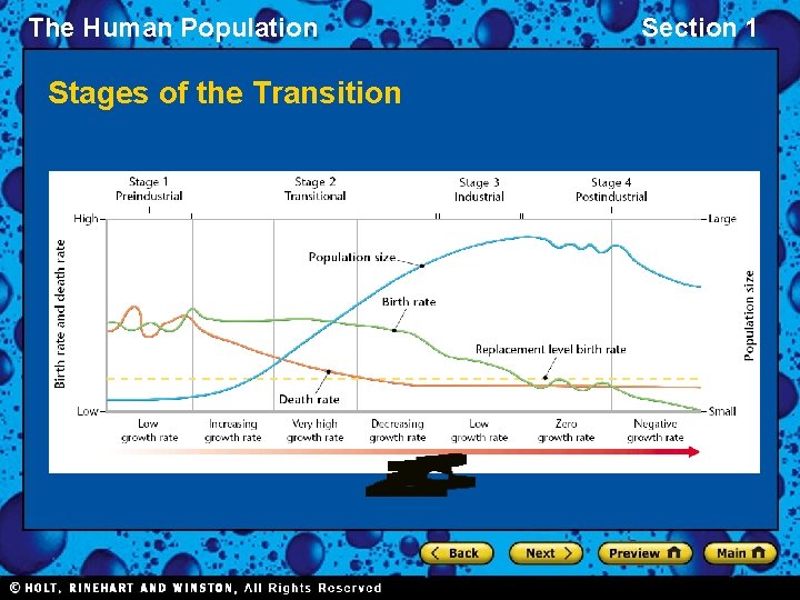 The Human Population Stages of the Transition Section 1 