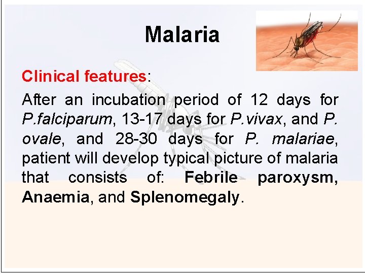 Malaria Clinical features: After an incubation period of 12 days for P. falciparum, 13