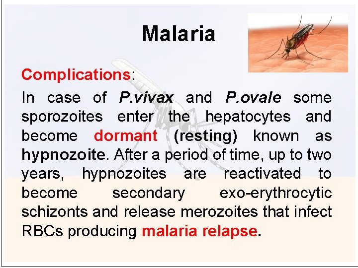 Malaria Complications: In case of P. vivax and P. ovale some sporozoites enter the