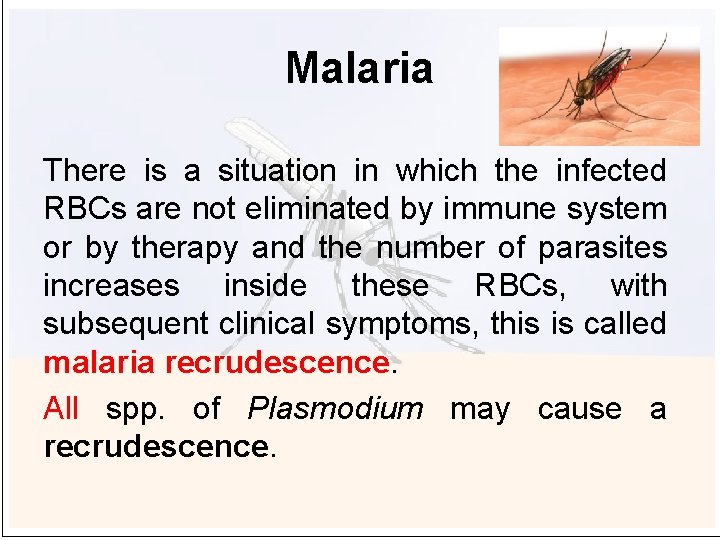 Malaria There is a situation in which the infected RBCs are not eliminated by