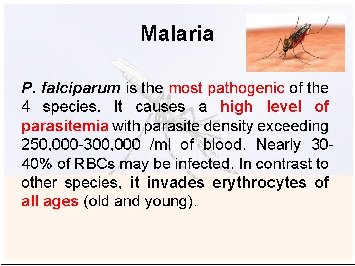 Malaria P. falciparum is the most pathogenic of the 4 species. It causes a