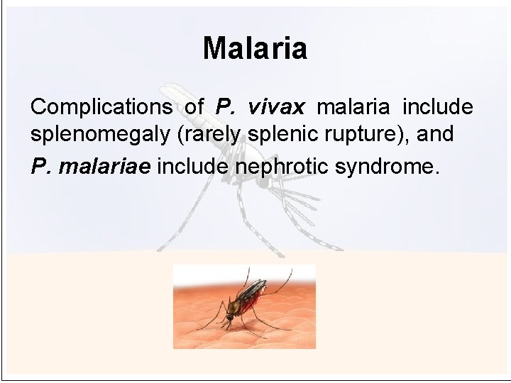 Malaria Complications of P. vivax malaria include splenomegaly (rarely splenic rupture), and P. malariae