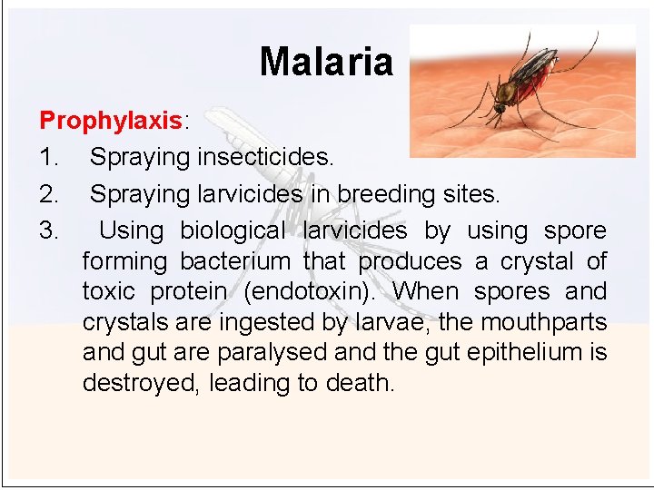 Malaria Prophylaxis: 1. Spraying insecticides. 2. Spraying larvicides in breeding sites. 3. Using biological