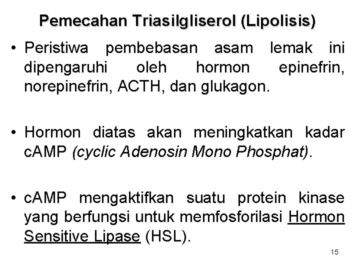 Pemecahan Triasilgliserol (Lipolisis) • Peristiwa pembebasan asam lemak ini dipengaruhi oleh hormon epinefrin, norepinefrin, Pemecahan Triasilgliserol (Lipolisis) • Peristiwa pembebasan asam lemak ini dipengaruhi oleh hormon epinefrin, norepinefrin,