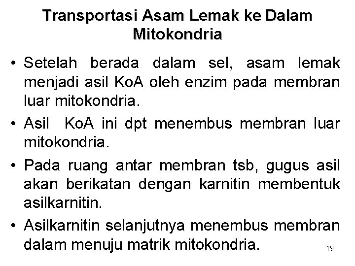 Transportasi Asam Lemak ke Dalam Mitokondria • Setelah berada dalam sel, asam lemak menjadi Transportasi Asam Lemak ke Dalam Mitokondria • Setelah berada dalam sel, asam lemak menjadi