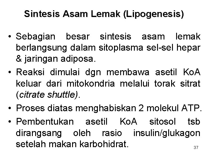 Sintesis Asam Lemak (Lipogenesis) • Sebagian besar sintesis asam lemak berlangsung dalam sitoplasma sel-sel Sintesis Asam Lemak (Lipogenesis) • Sebagian besar sintesis asam lemak berlangsung dalam sitoplasma sel-sel