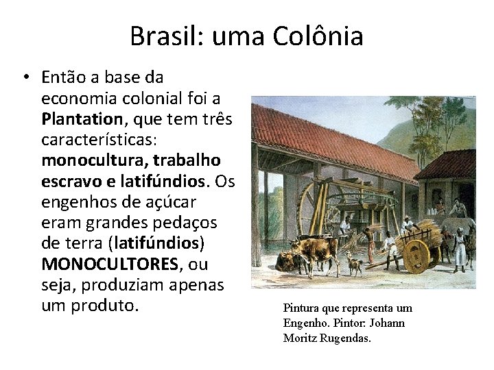 Brasil: uma Colônia • Então a base da economia colonial foi a Plantation, que