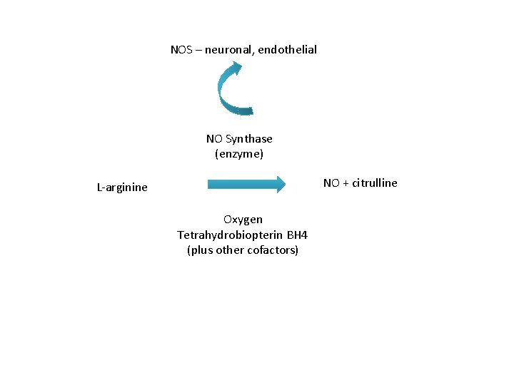 NOS – neuronal, endothelial NO Synthase (enzyme) NO + citrulline L‐arginine Oxygen Tetrahydrobiopterin BH