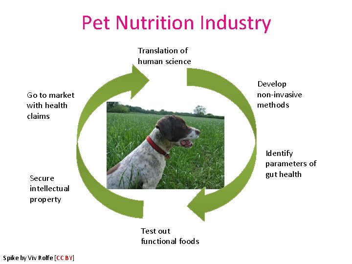 Pet Nutrition Industry Translation of human science Develop non‐invasive methods Go to market with