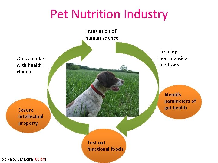 Pet Nutrition Industry Translation of human science Develop non‐invasive methods Go to market with