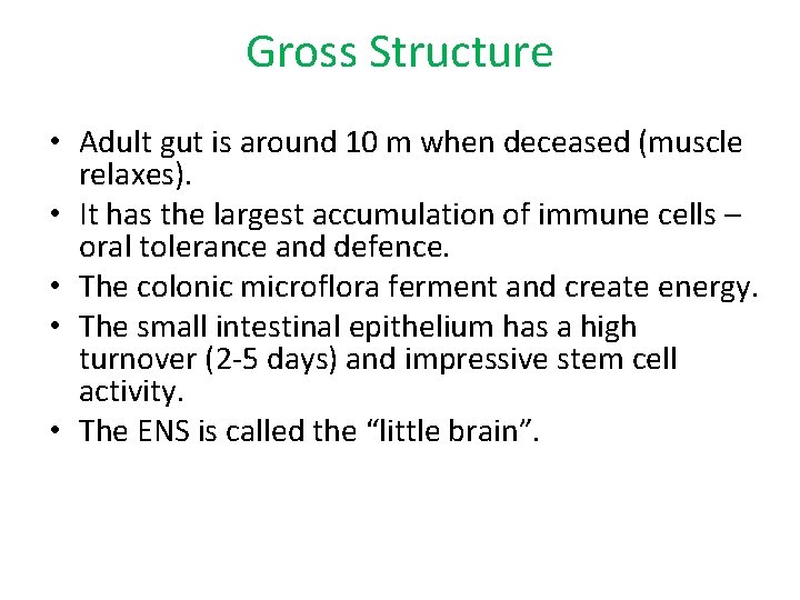 Gross Structure • Adult gut is around 10 m when deceased (muscle relaxes). •