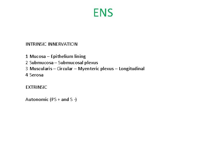 ENS INTRINSIC INNERVATION 1 Mucosa – Epithelium lining 2 Submucosa – Submucosal plexus 3