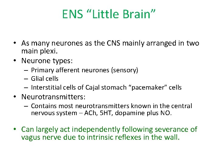 ENS “Little Brain” • As many neurones as the CNS mainly arranged in two