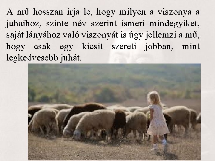 A mű hosszan írja le, hogy milyen a viszonya a juhaihoz, szinte név szerint