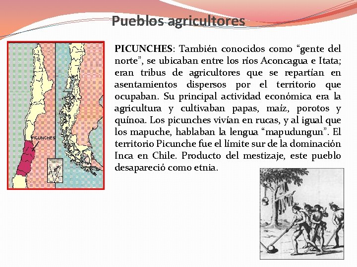 Pueblos agricultores PICUNCHES: También conocidos como “gente del norte”, se ubicaban entre los ríos