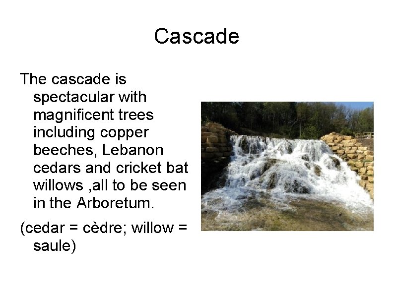 Cascade The cascade is spectacular with magnificent trees including copper beeches, Lebanon cedars and Cascade The cascade is spectacular with magnificent trees including copper beeches, Lebanon cedars and