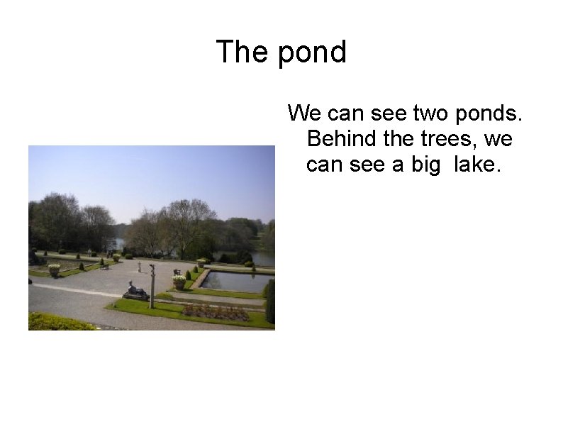 The pond We can see two ponds. Behind the trees, we can see a The pond We can see two ponds. Behind the trees, we can see a