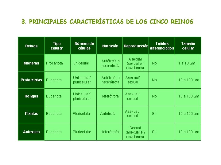 3. PRINCIPALES CARACTERÍSTICAS DE LOS CINCO REINOS Reinos Tipo celular Número de células Nutrición