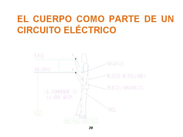 EL CUERPO COMO PARTE DE UN CIRCUITO ELÉCTRICO 39 