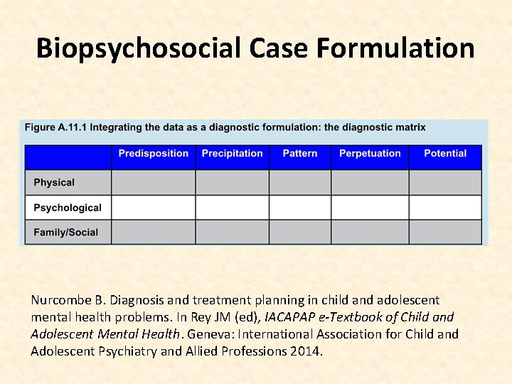 Biopsychosocial Case Formulation Nurcombe B. Diagnosis and treatment planning in child and adolescent mental