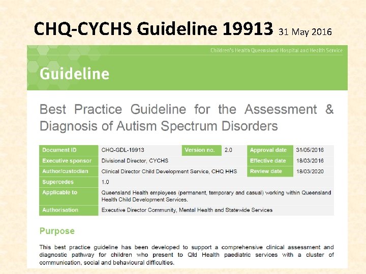 CHQ-CYCHS Guideline 19913 31 May 2016 