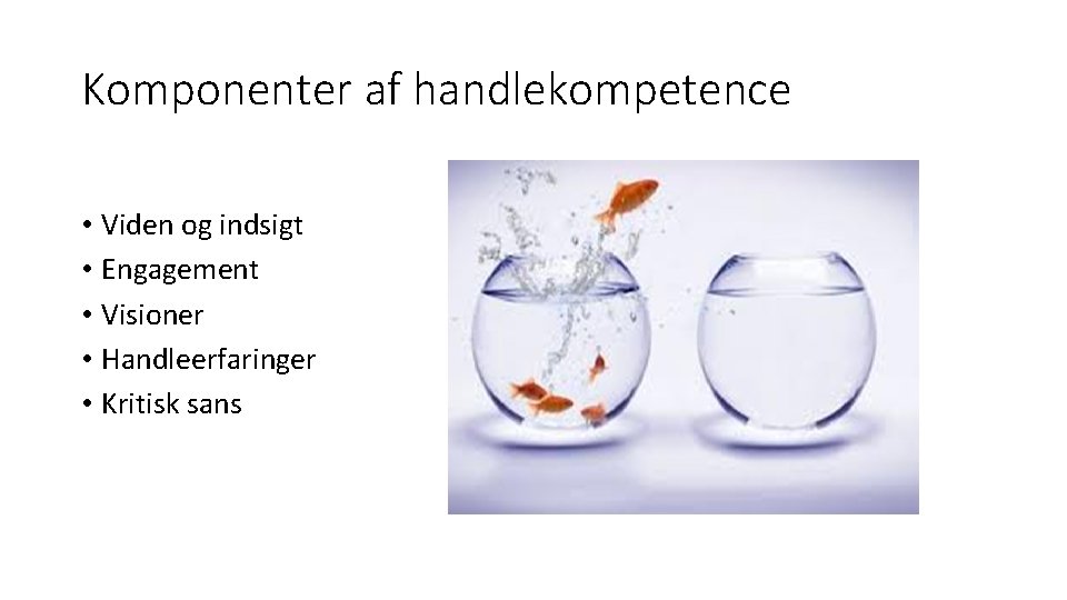 Komponenter af handlekompetence • Viden og indsigt • Engagement • Visioner • Handleerfaringer •