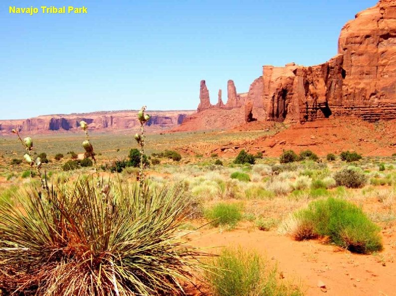 Navajo Tribal Park 