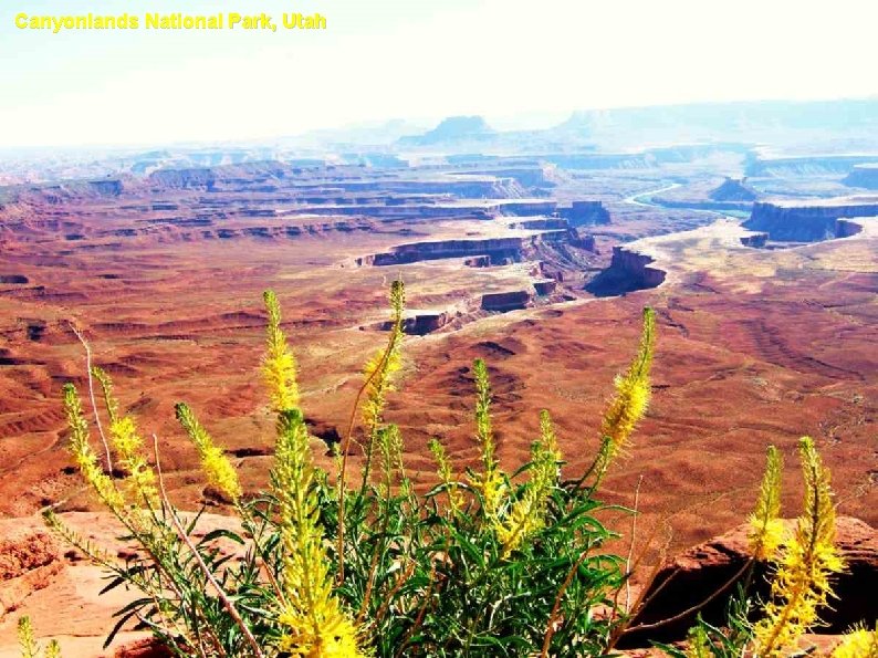 Canyonlands National Park, Utah 