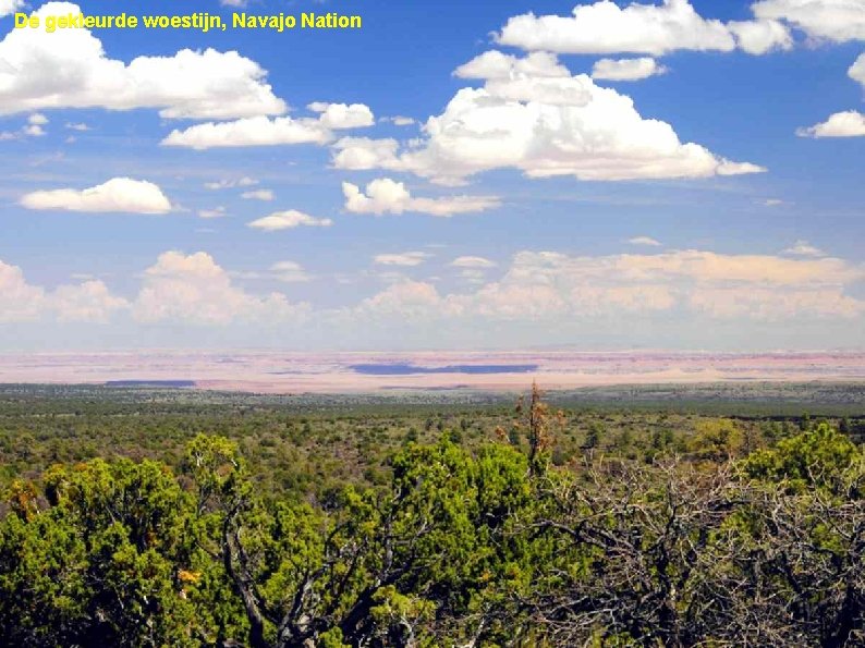 De gekleurde woestijn, Navajo Nation 