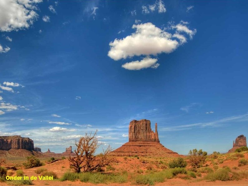 Lower Antelope Canyon Onder in de Vallei Cactus bloem 