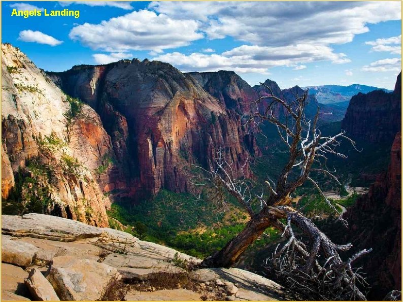 Angels Landing 