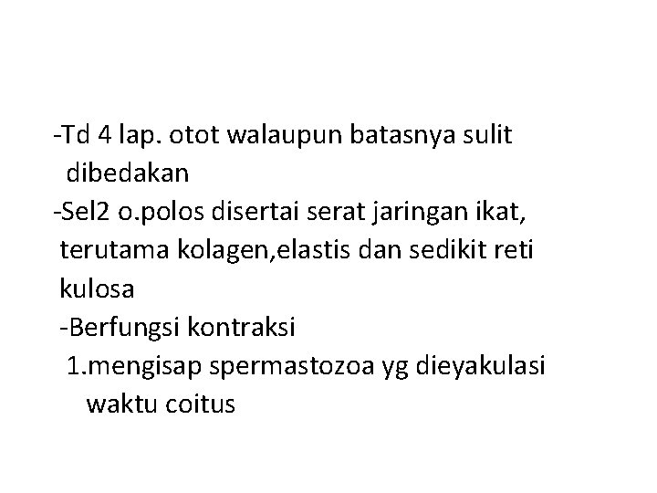 -Td 4 lap. otot walaupun batasnya sulit dibedakan -Sel 2 o. polos disertai serat